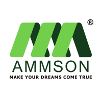 Ammson International Tech Solutions