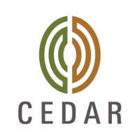 Cedar Management Consulting