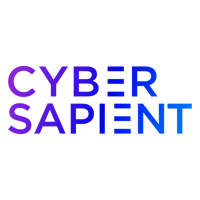 Cybersapient Technologies