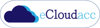 Ecloudacc Support Services
