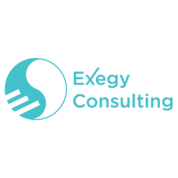 Exegy Consulting