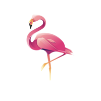 Flawless Flamingo