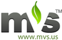 Mvs Consulting