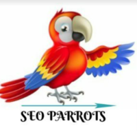 Seo Parrots Bangalore