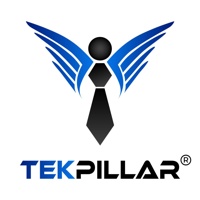 Tekpillar Services