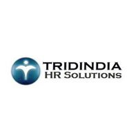 Tridindia Hr Solutions