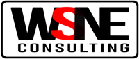 Wsne Consulting