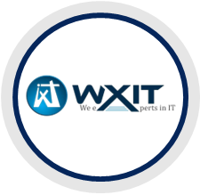 Wxit Consultant Services